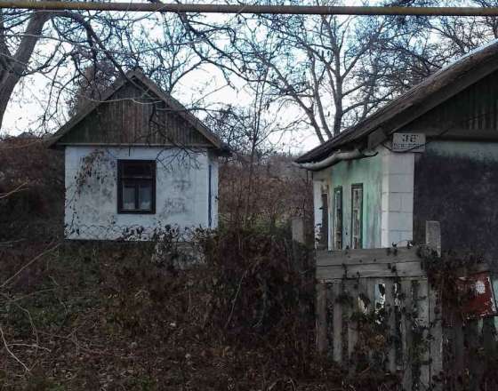 Суворова