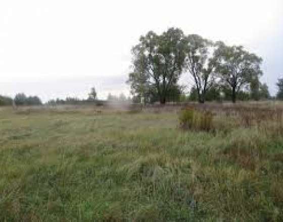 Жукова ул